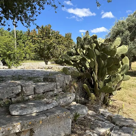 別荘 Trullo Donna Gina Con Terrazza